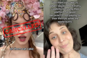 Now-deleted TikTok by influencer @haleyybaylee, or Haley Kalil, sparked the ongoing mass blocking movement on the platform. Credit: TikTok