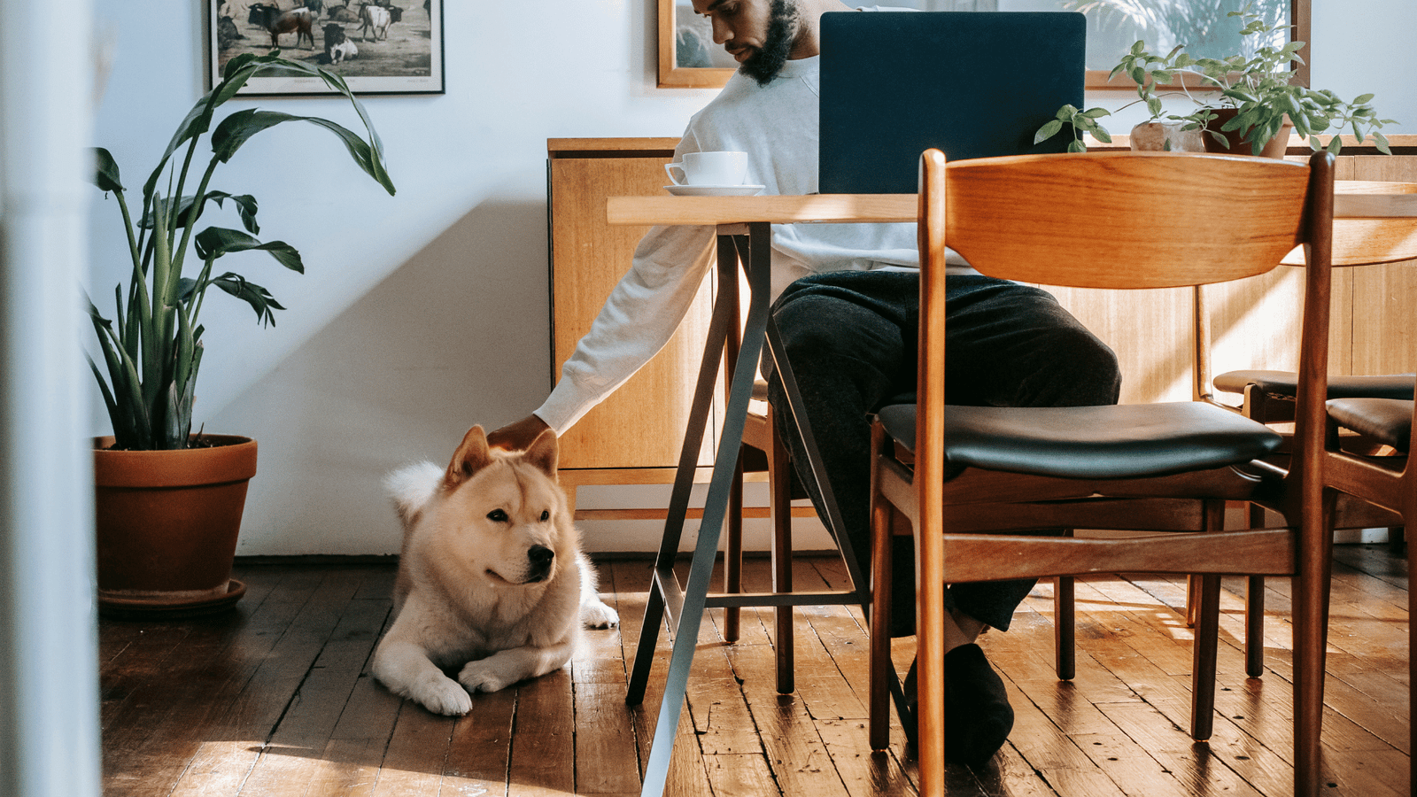 Man working from home with his dog by his side. Cozy workspace, natural light, and calm home office vibes.