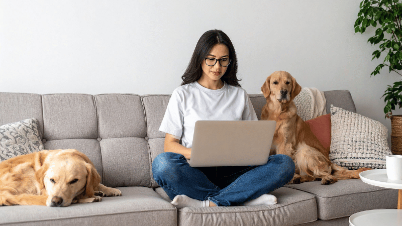 Woman sitting on a couch with two dogs while working on a laptop, reviewing a website from home